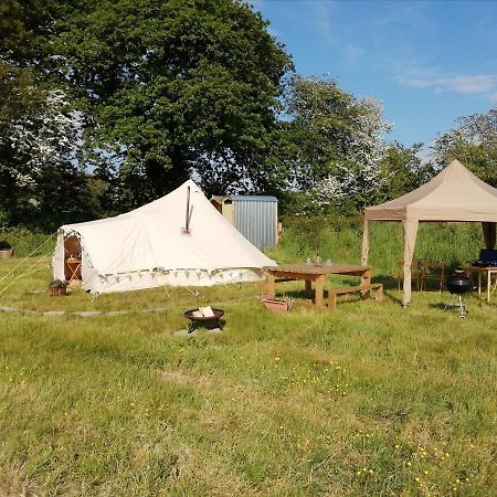 Coed Y Brenin Retreat - Bell Tent Glamping Near Aberaeron Ciliau-Aeron Exterior foto