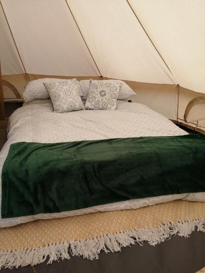 Coed Y Brenin Retreat - Bell Tent Glamping Near Aberaeron Ciliau-Aeron Exterior foto