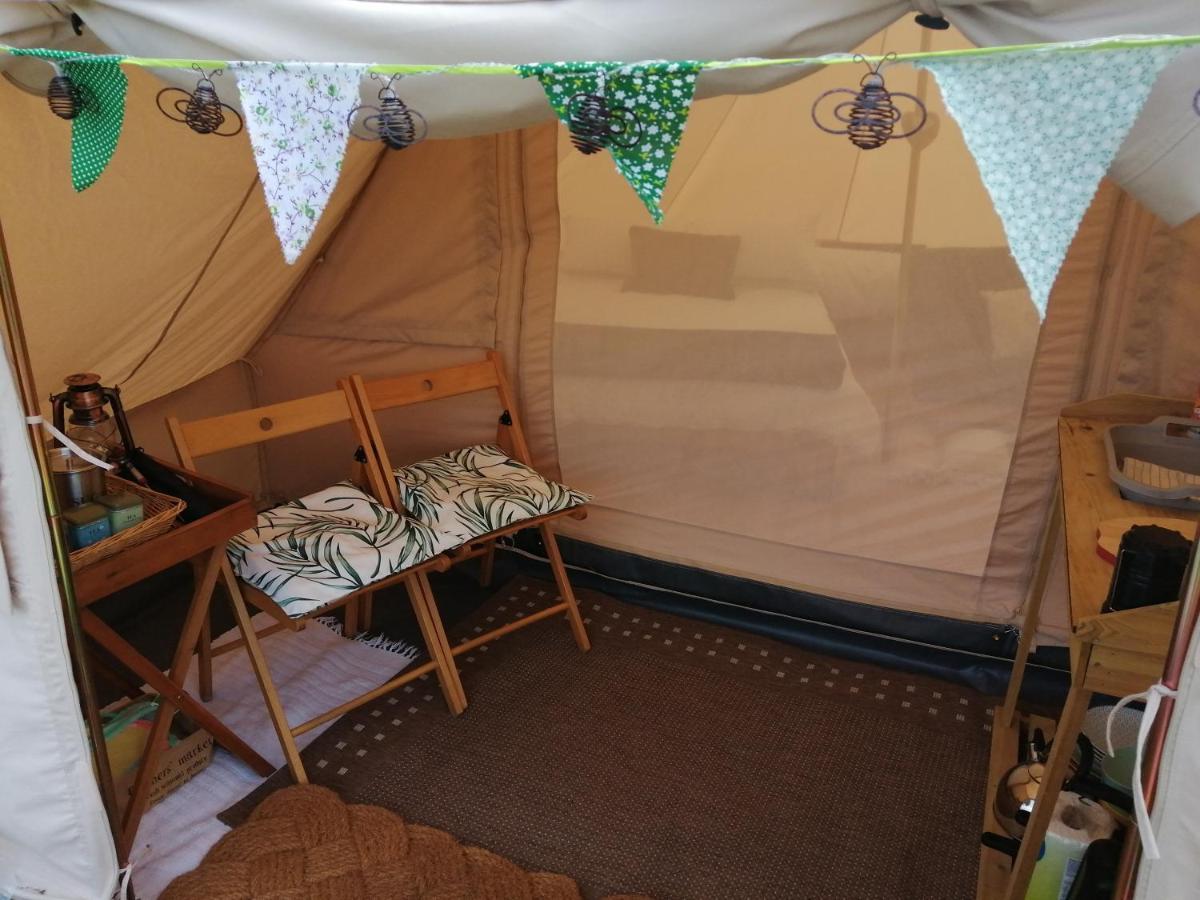 Coed Y Brenin Retreat - Bell Tent Glamping Near Aberaeron Ciliau-Aeron Exterior foto